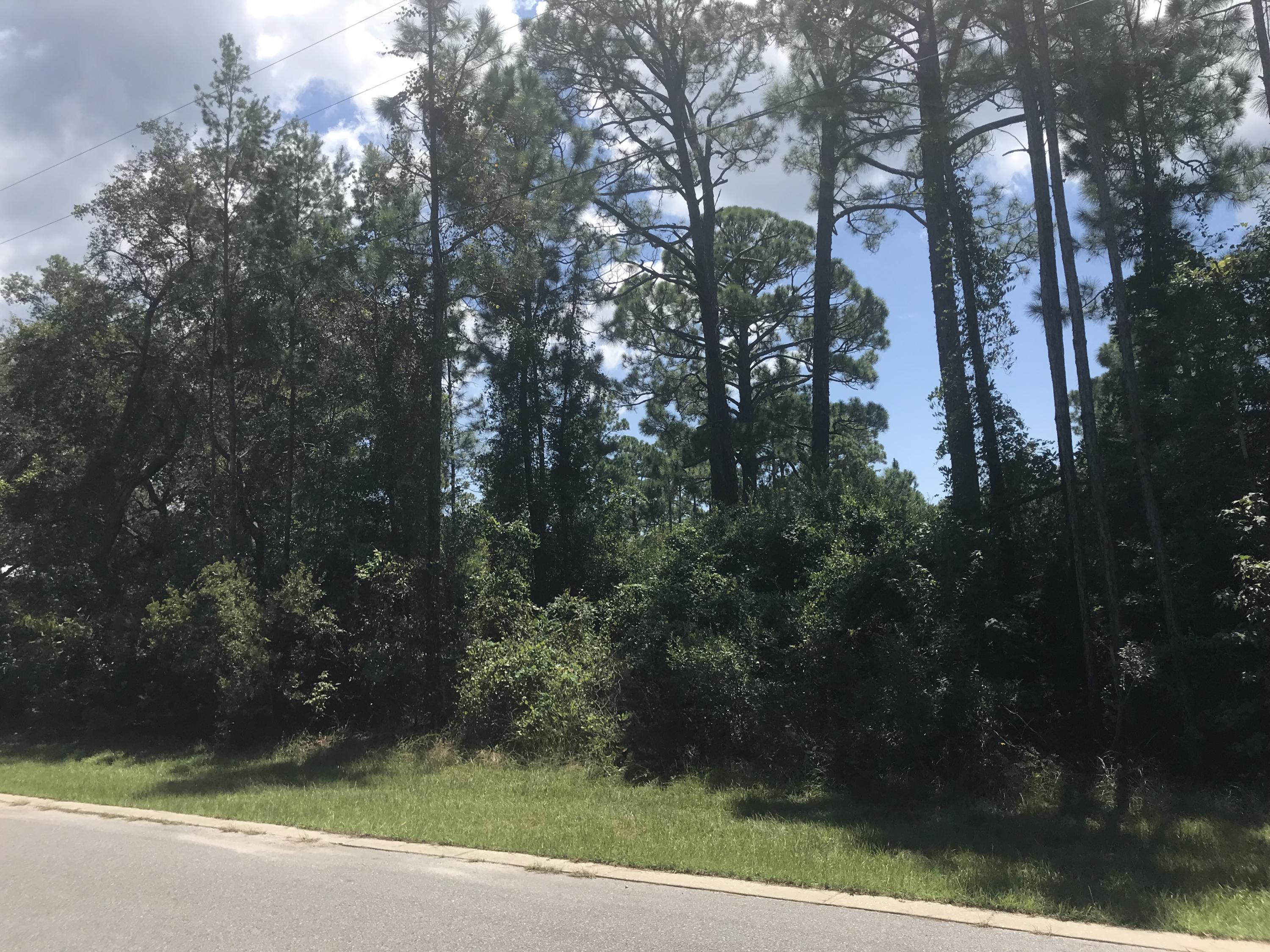 0 Silverleaf Lane Santa Rosa Beach, FL 32459 - Photo 5 of 5 a view of a yard