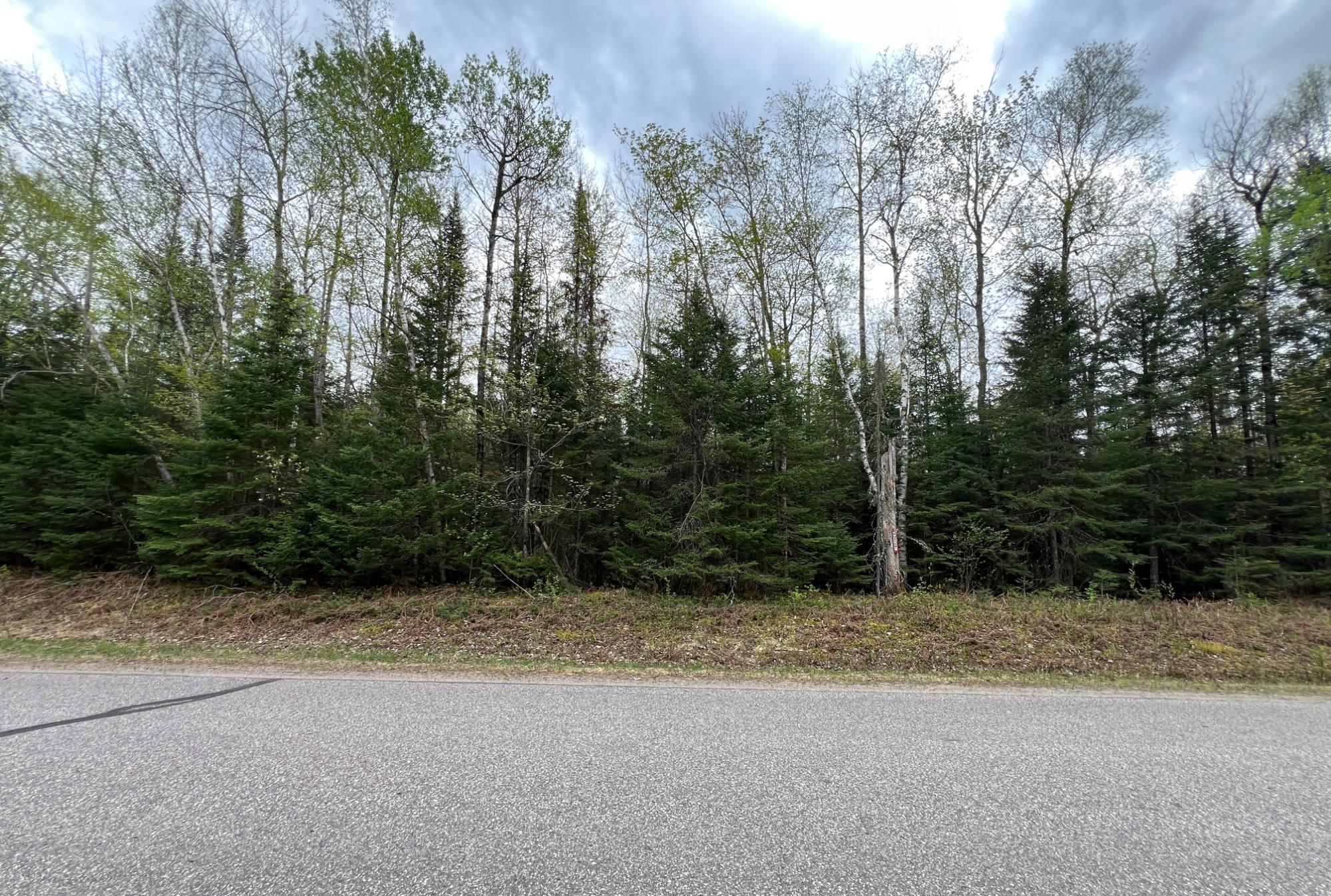 On Ripco Road Eagle River, WI 54521 - Photo 11 of 20 Gallery Image 11