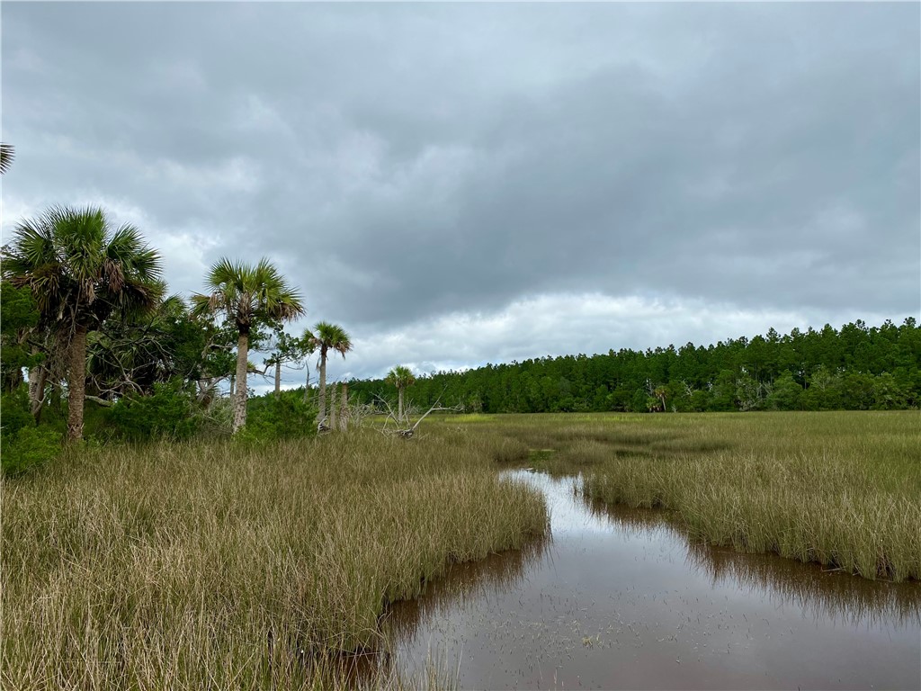 0 Timber Landing Road Brunswick, GA 31523 - Photo 2 of 6