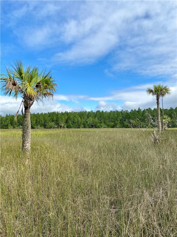 0 Timber Landing Road Brunswick, GA 31523 - Photo 3 of 6