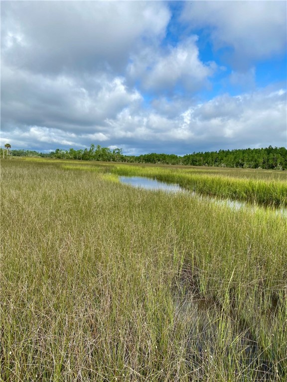 0 Timber Landing Road Brunswick, GA 31523 - Photo 4 of 6