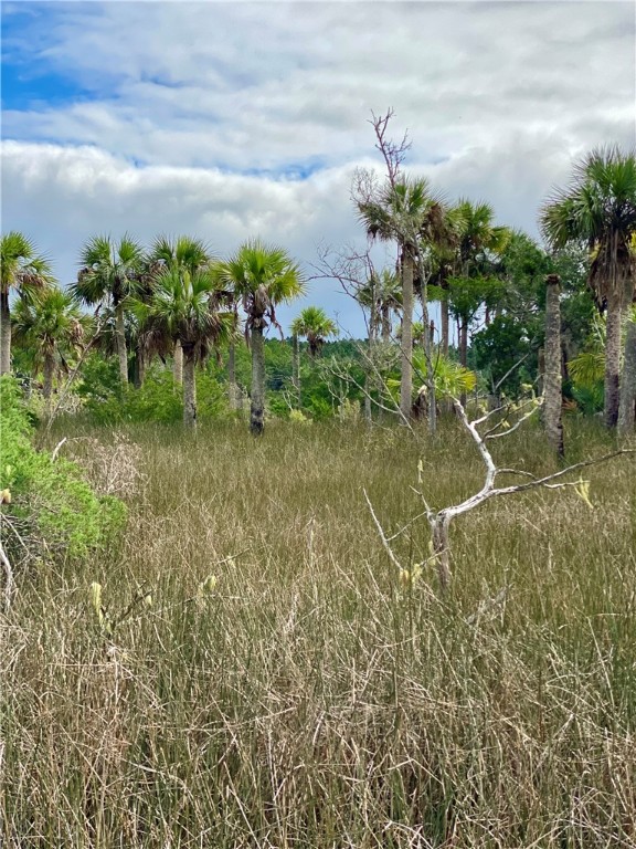 0 Timber Landing Road Brunswick, GA 31523 - Photo 5 of 6