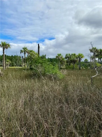 $99,000 | 0 Timber Landing Road, Brunswick, GA 31523