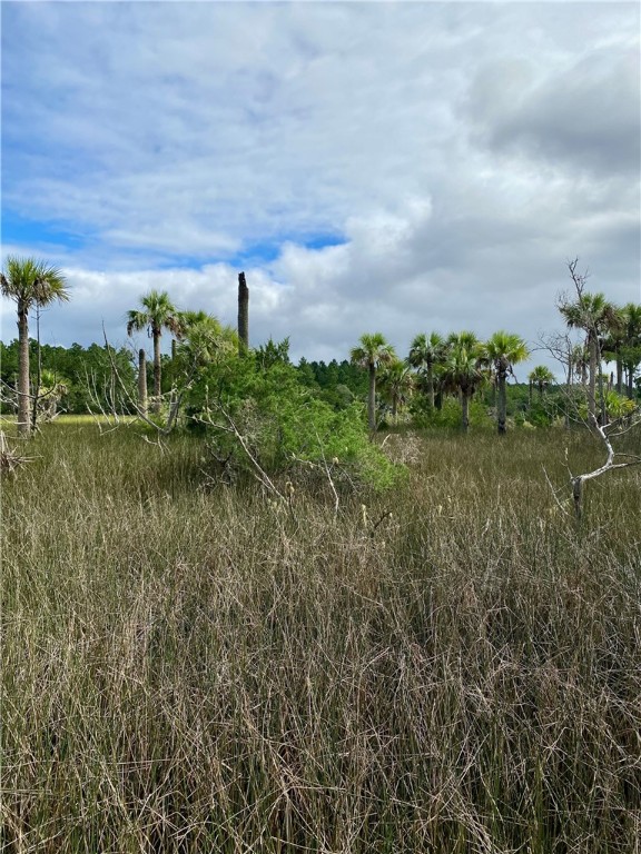 0 Timber Landing Road Brunswick, GA 31523 - Photo 6 of 6