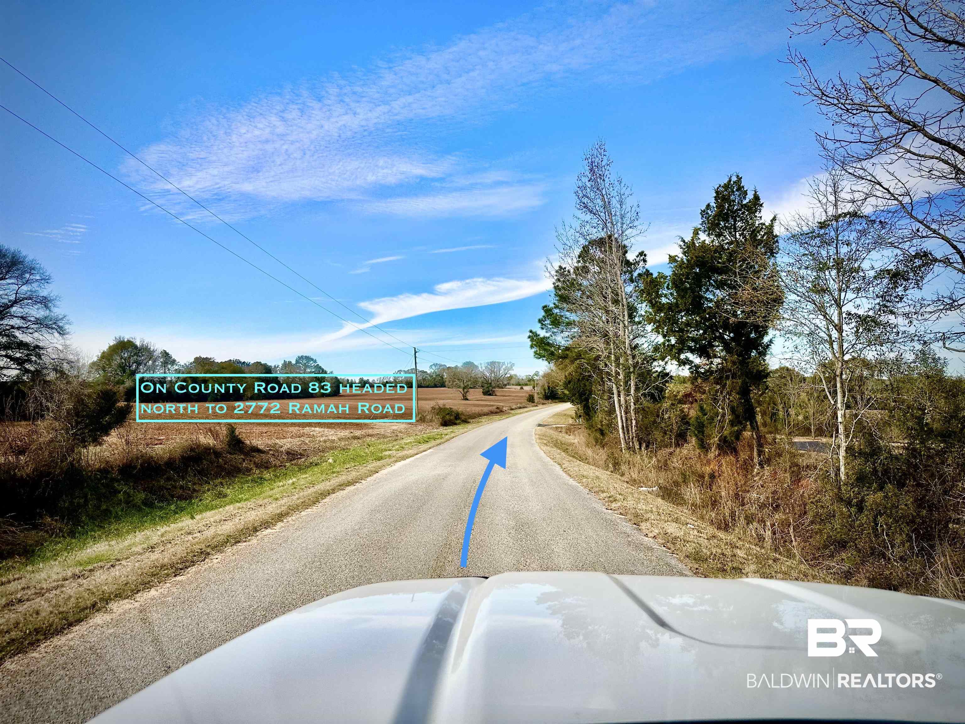 2772 Ramah Road Evergreen, AL 36401 - Photo 11 of 12 View of road