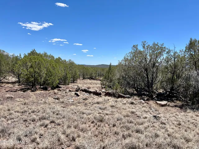 $10,000 | 3850 West Birch Avenue, Williams, AZ 86046