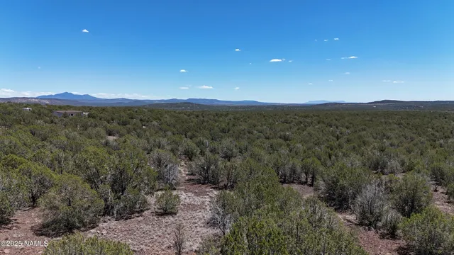 $10,000 | 3850 West Birch Avenue, Williams, AZ 86046