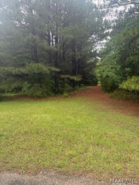 3 Cottrell Way Autaugaville, AL 36003 - Photo 1 of 1 Gallery Image 1