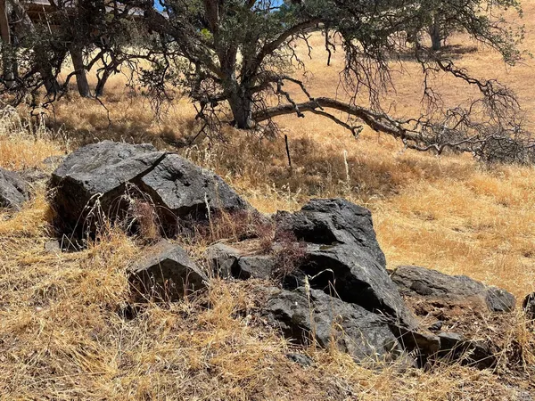 a view of a yard covered with snow