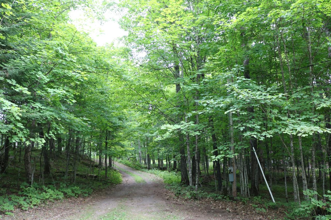 7143 East Fisher Lake Road Mercer, WI 54547 - Photo 32 of 32 Gallery Image 32