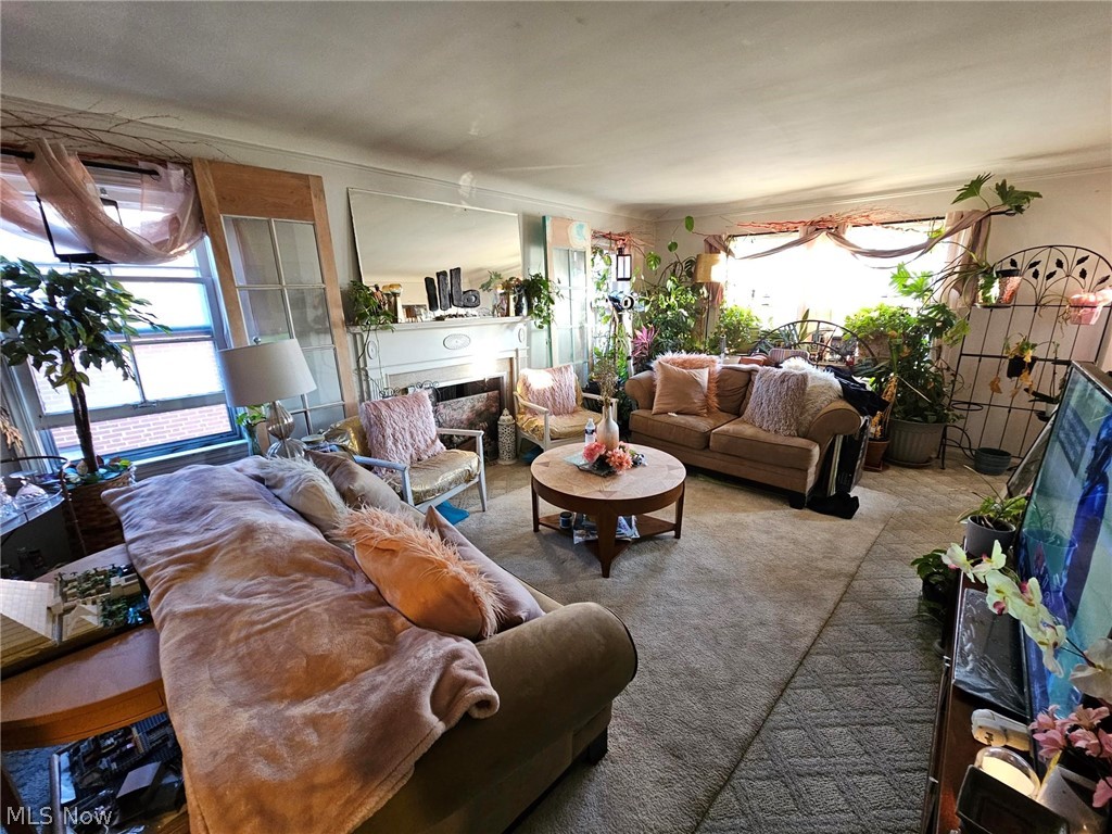 13513 Cedar Road Cleveland, OH 44118 - Photo 5 of 36 View of carpeted living room