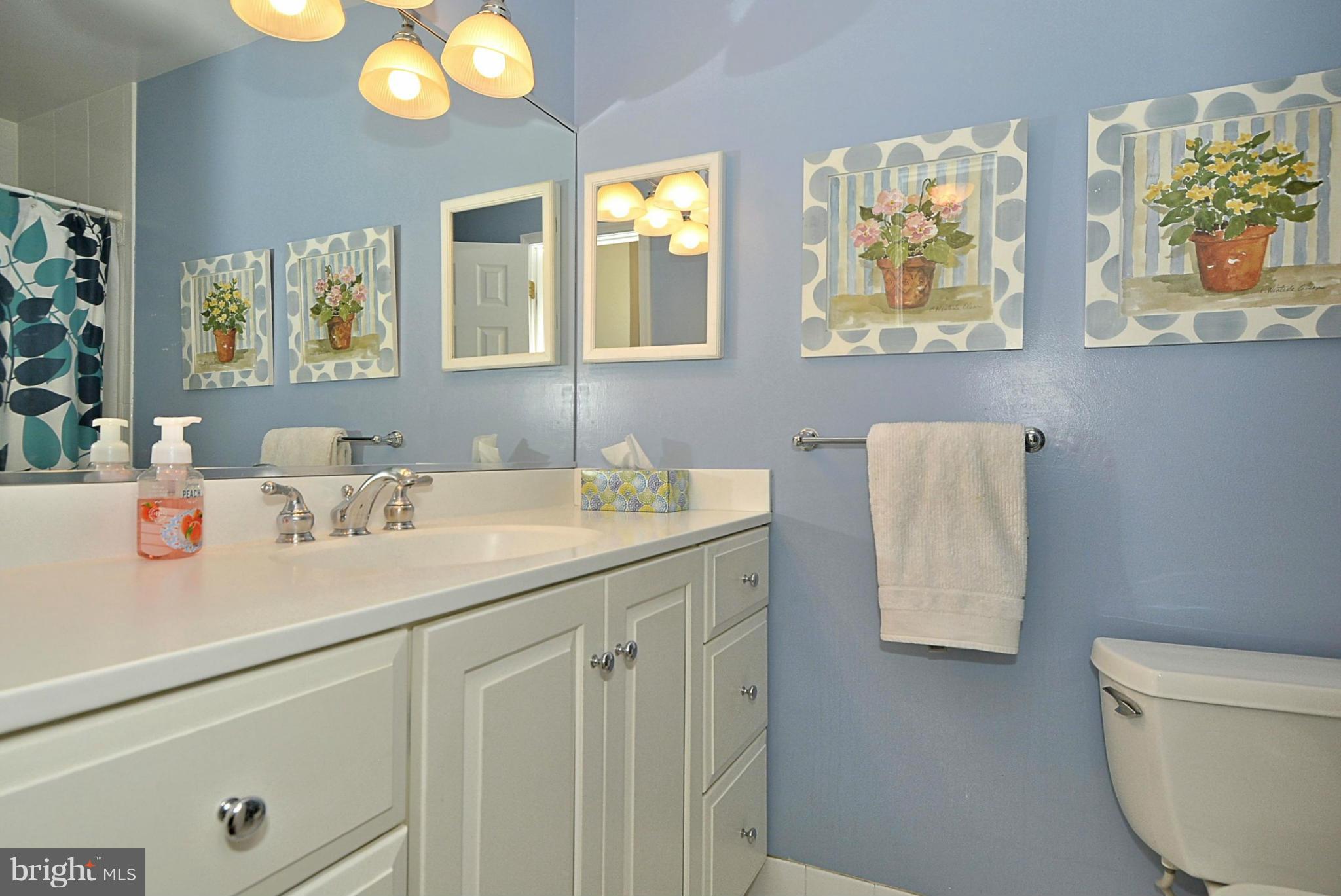 1112 Alden Road Alexandria, VA 22308 - Photo 14 of 28 Bath