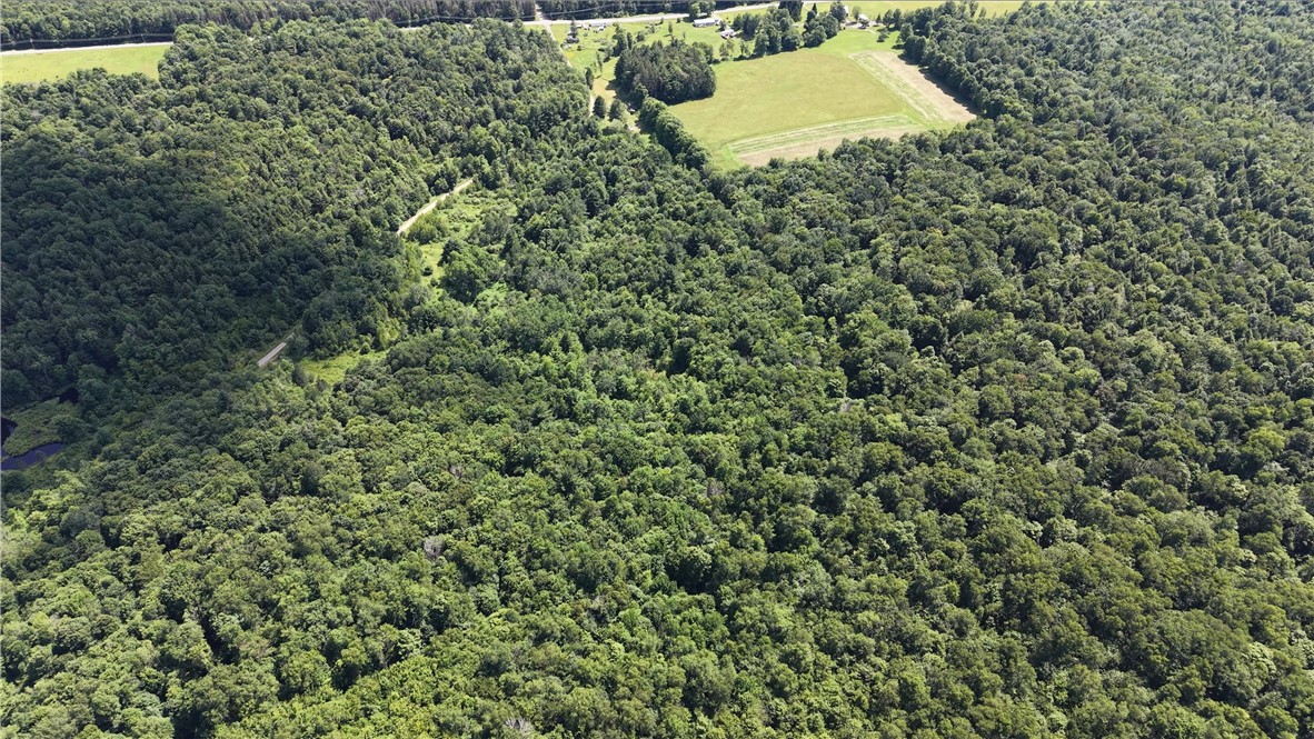 409 Cty Road Cincinnatus, NY 13040 - Photo 14 of 29