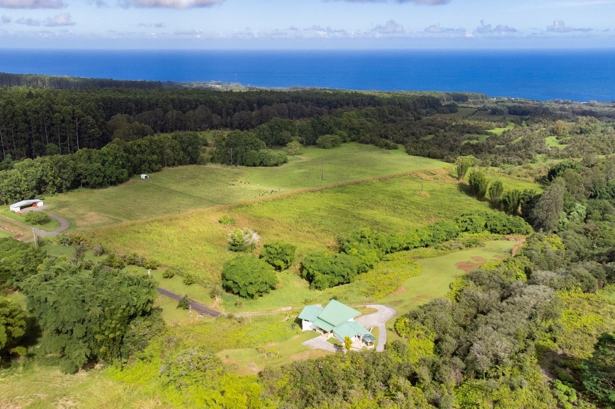 2100 Kaiwiki Road Hilo, HI 96720 - Photo 24 of 29 a view of an ocean