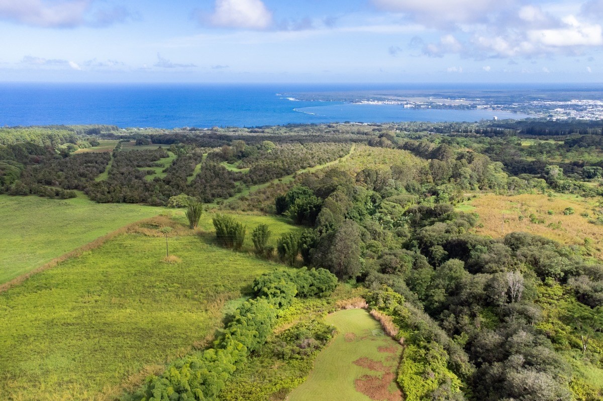 2100 Kaiwiki Road Hilo, HI 96720 - Photo 27 of 29 a view of an ocean