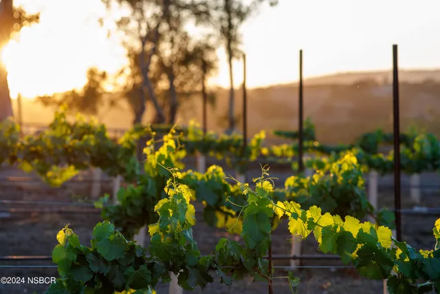 $18,000 | Undisclosed Address, Solvang, CA 93463