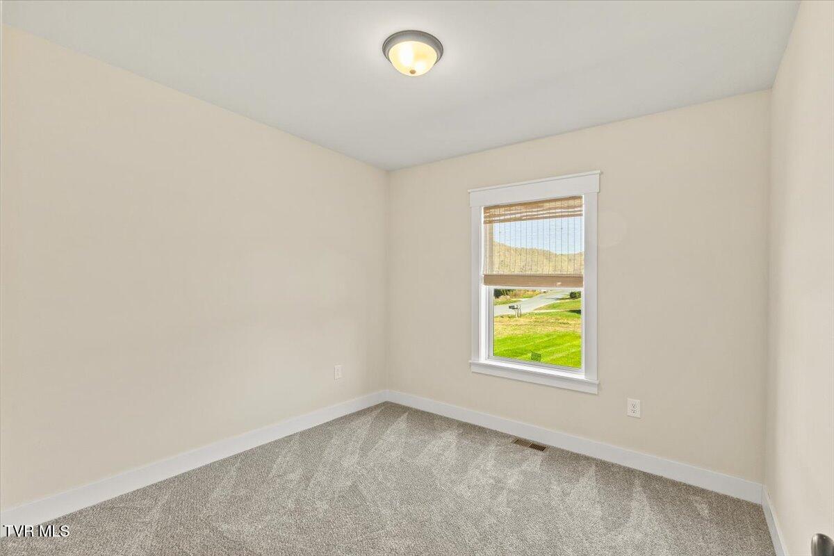 105 Bishop Hollow Road Elizabethton, TN 37643 - Photo 48 of 51 41-128A6588