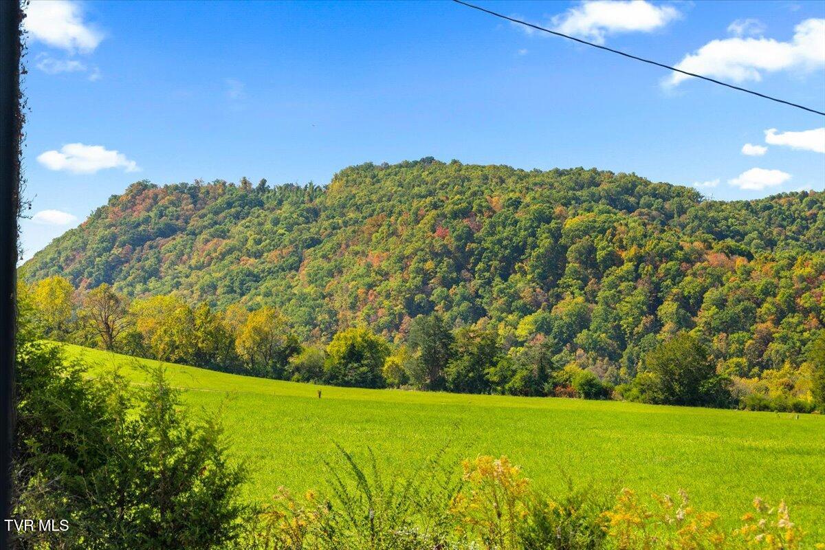 105 Bishop Hollow Road Elizabethton, TN 37643 - Photo 10 of 51 04-128A6501