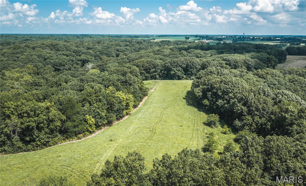 2924 Bess Hollow Road Kampsville, IL 62053 - Photo 86 of 96