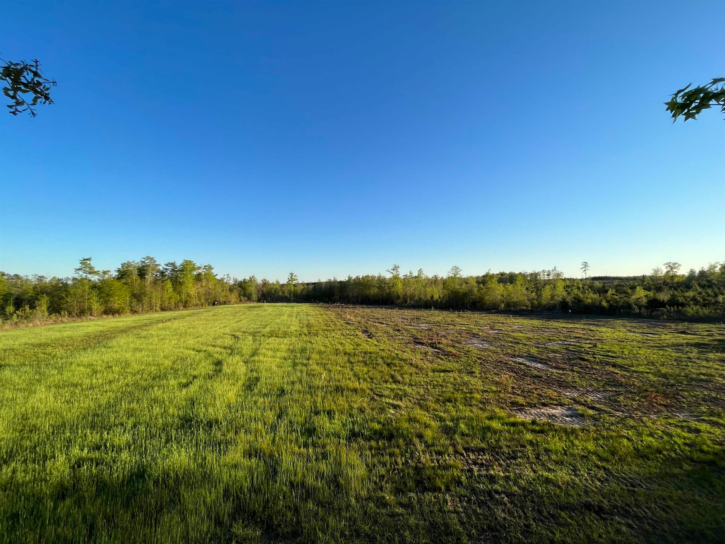 0 Cedar Cut Road Rutledge, AL 36071 - Photo 1 of 35 Gallery Image 1