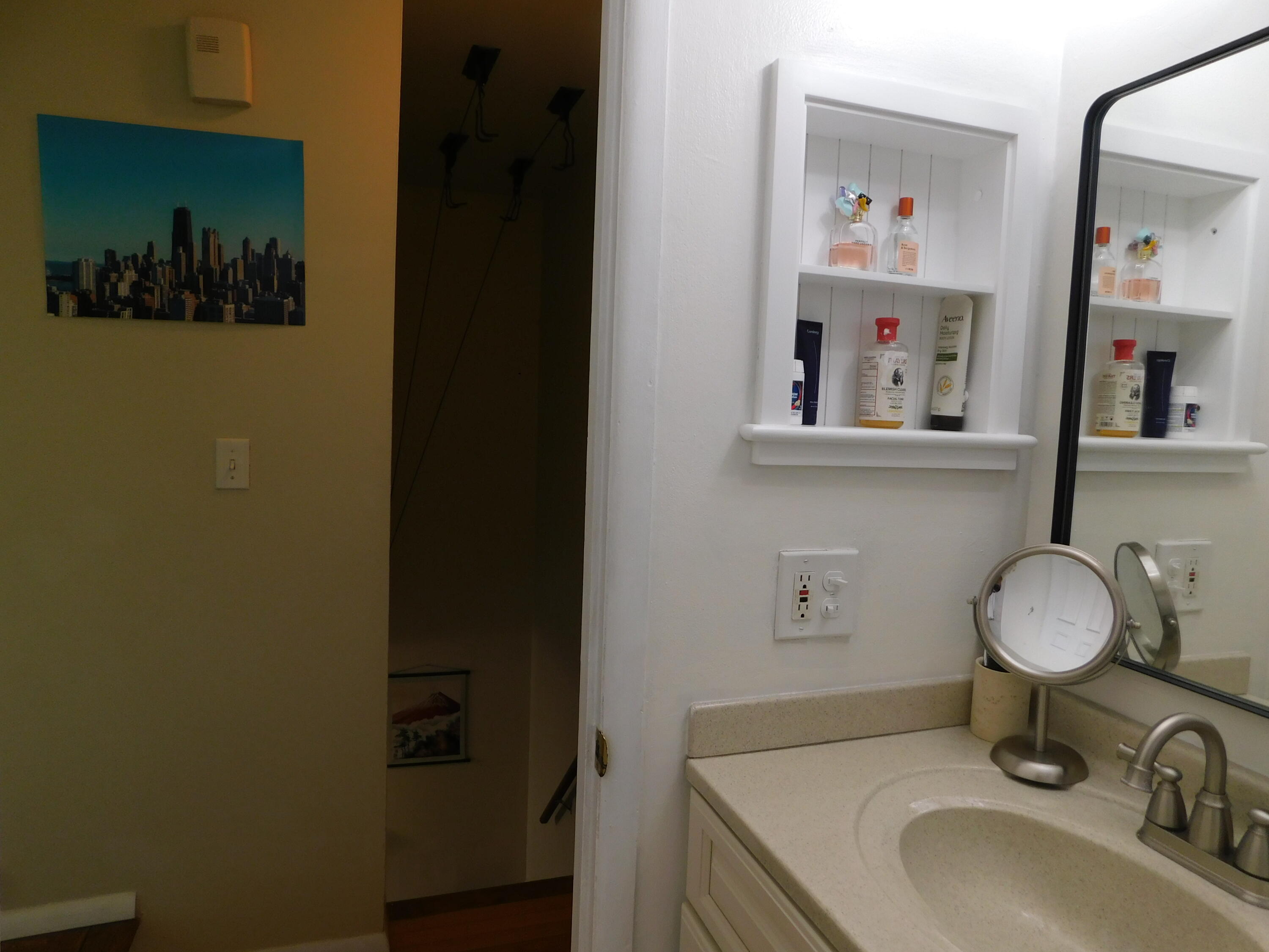 543 Longshore Drive, Unit B Ann Arbor, MI 48105 - Photo 14 of 17 DSCN0167 - Copy