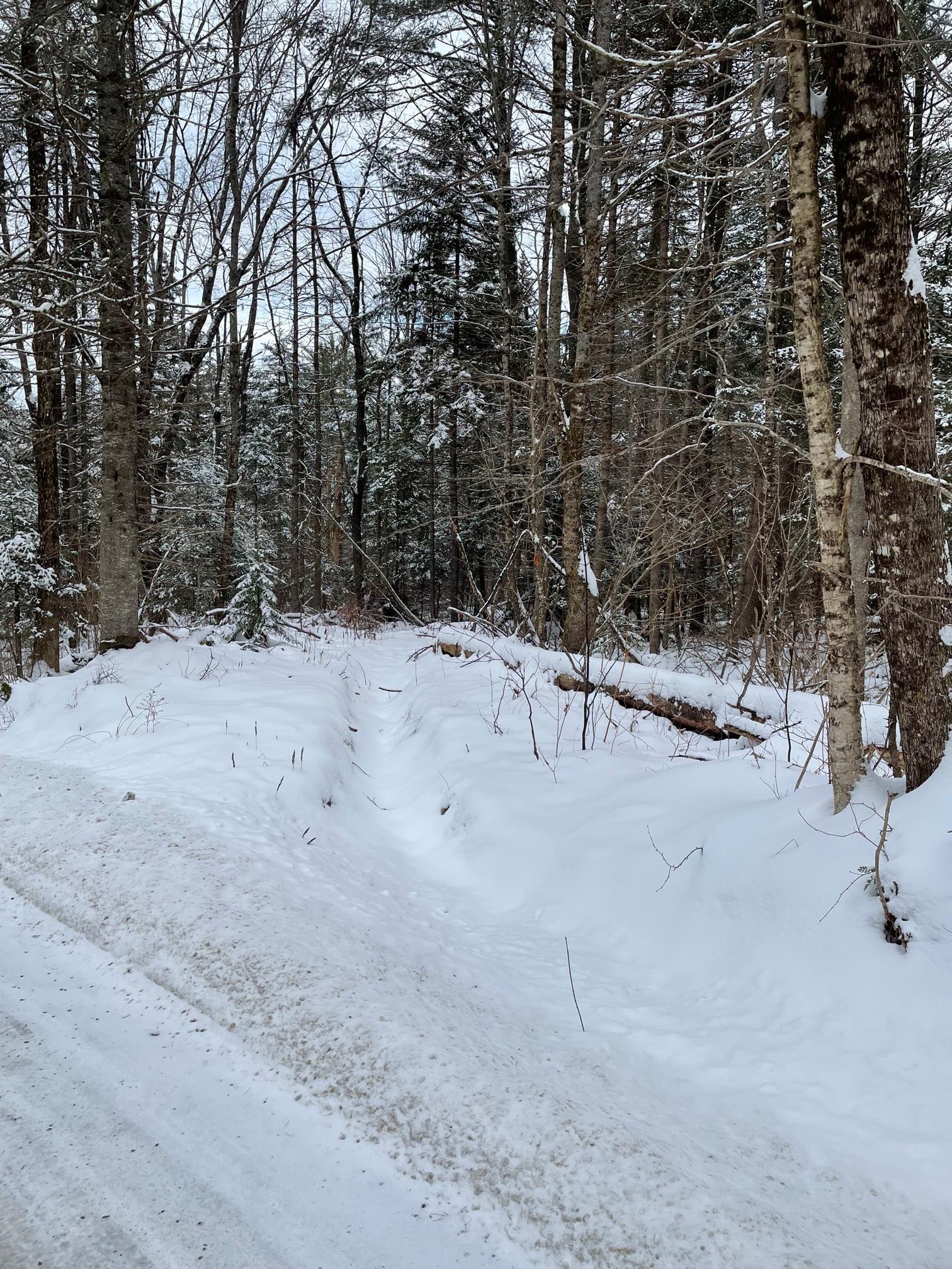 24 Hadley Road Sugar Hill, NH 03586 - Photo 8 of 10