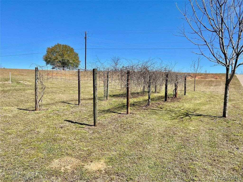 1425 Traveler's Rest Road Samson, AL 36477 - Photo 7 of 44 Gallery Image 7
