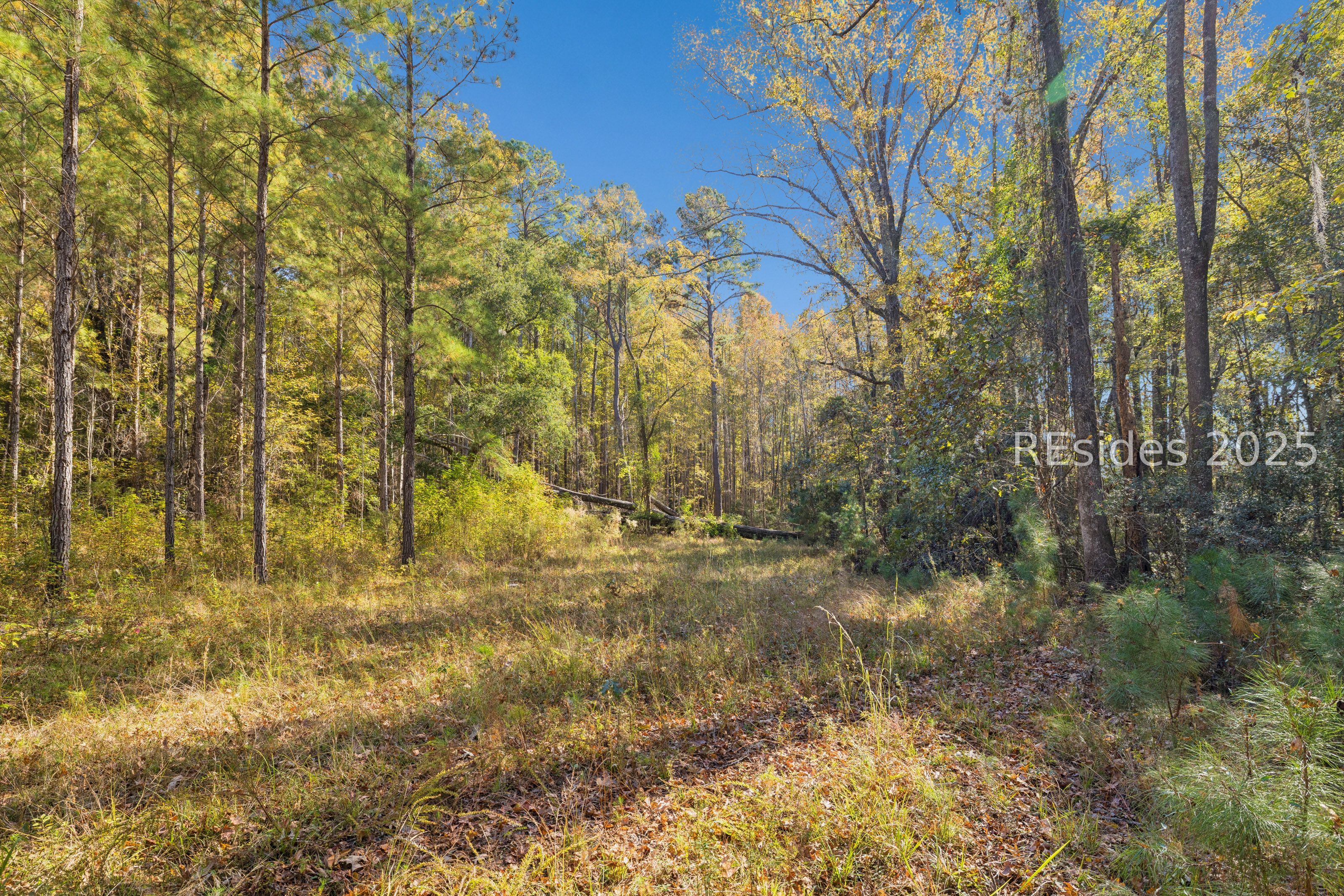 0 Morgandollar Road Ridgeland, SC 29936 - Photo 23 of 38