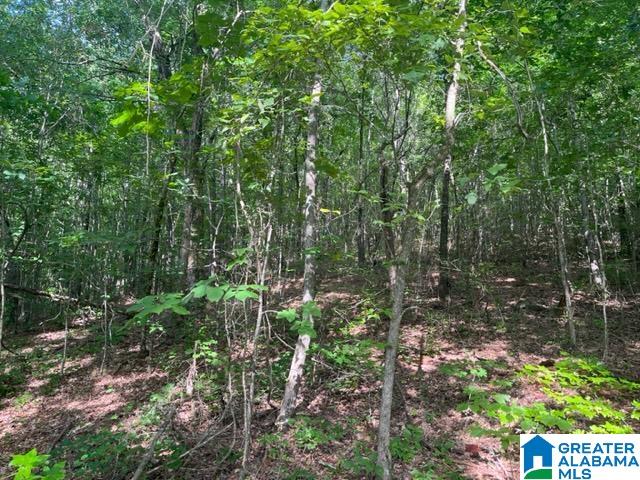 565 Oak Hill Road Talladega, AL 35160 - Photo 4 of 14