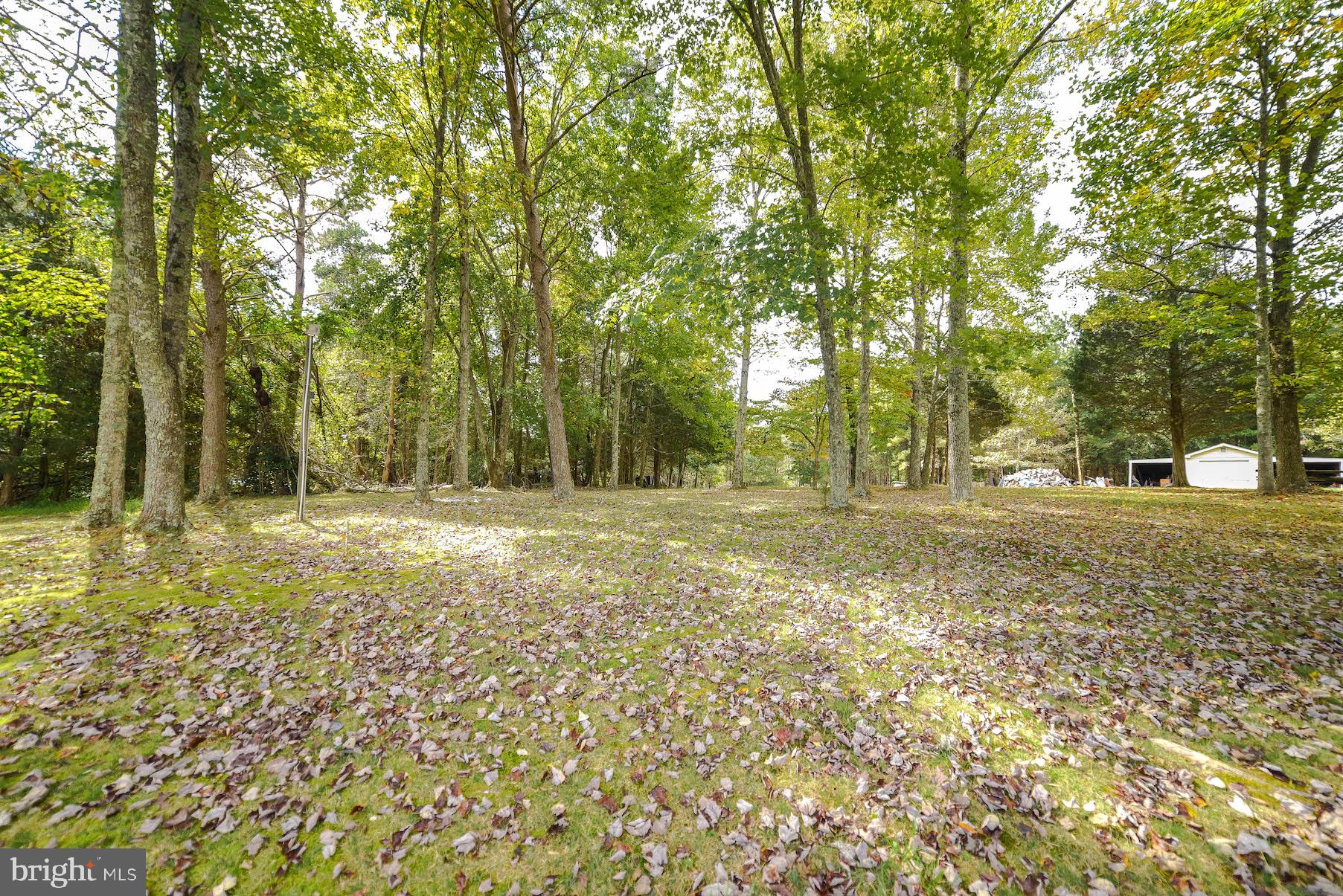 8695 Lowell Road Pomfret, MD 20675 - Photo 41 of 43