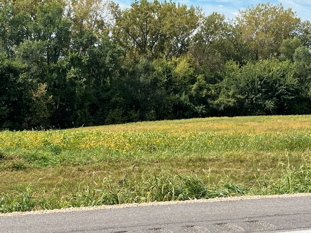 0 Wells Ferry Road Pleasant Valley, IA 52767 - Photo 3 of 5