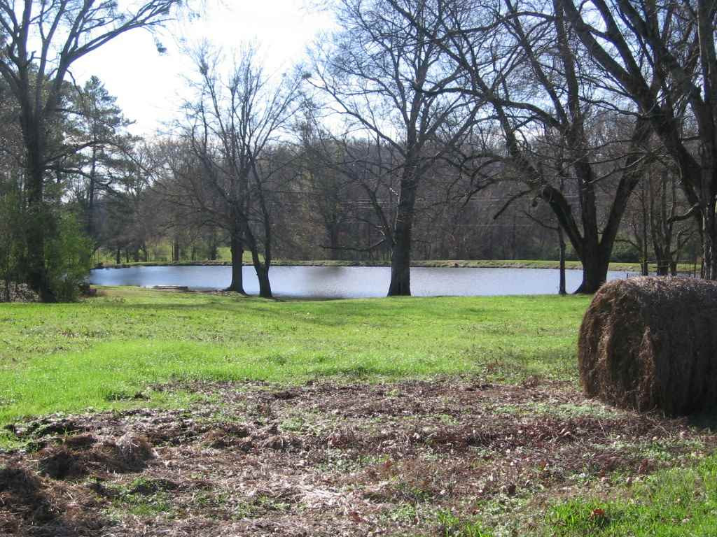 0 Upshaw Road Pickens, MS 39146 - Photo 2 of 11 Photo 2