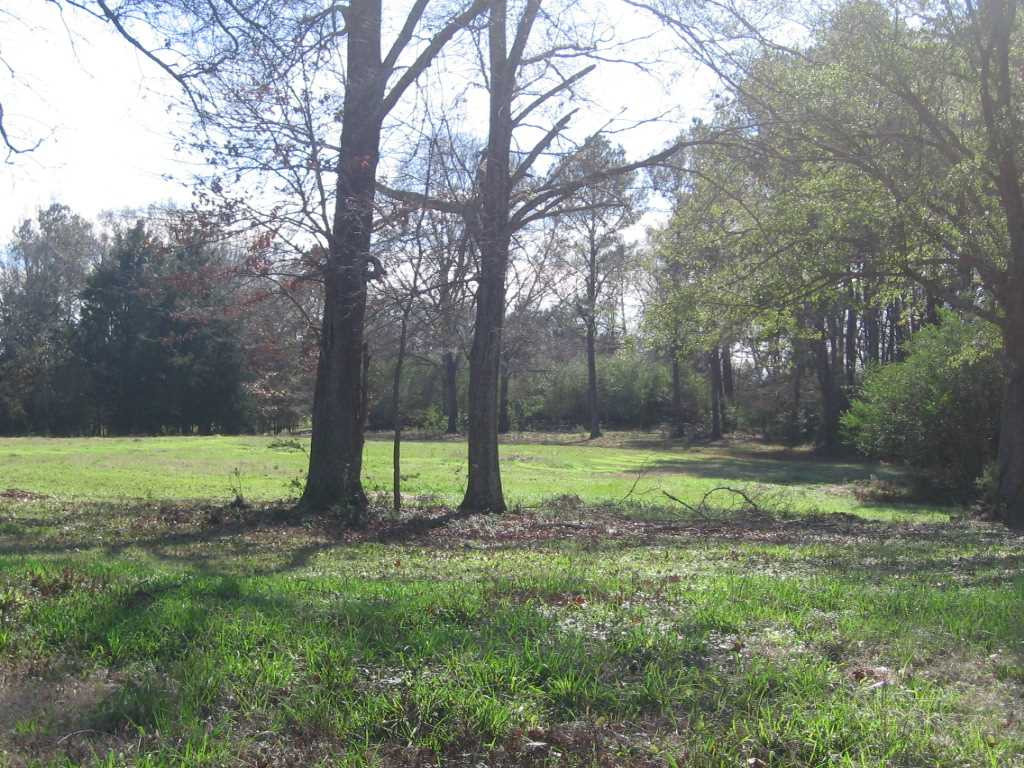 0 Upshaw Road Pickens, MS 39146 - Photo 3 of 11 Photo 3