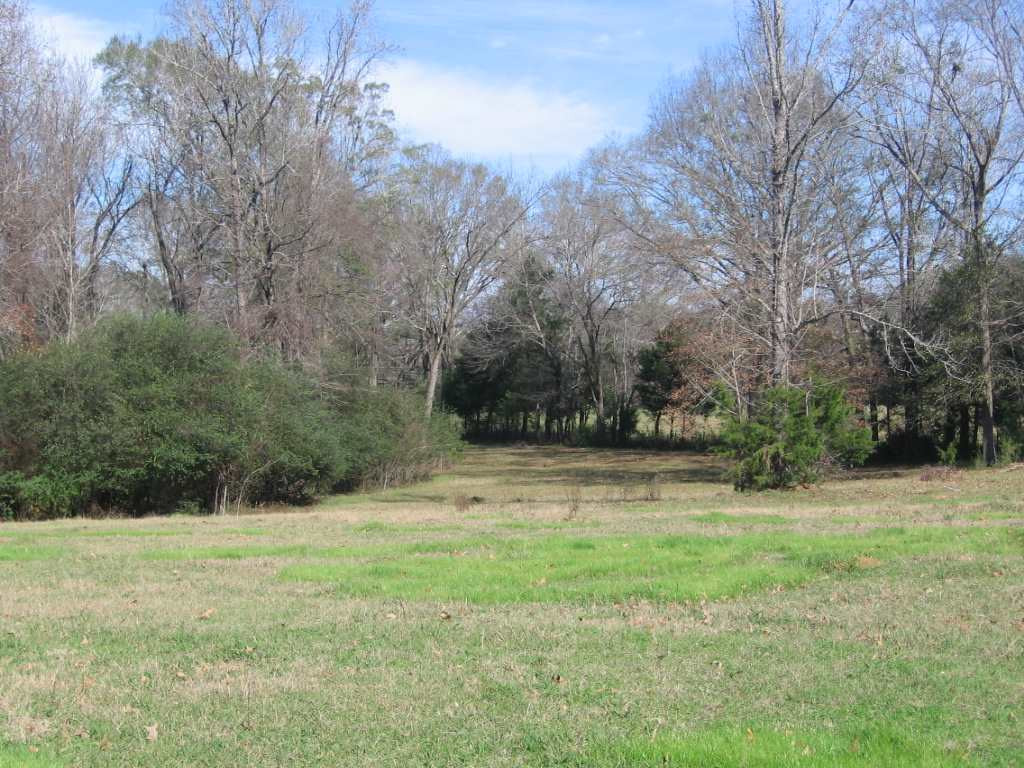 0 Upshaw Road Pickens, MS 39146 - Photo 4 of 11 Photo 4
