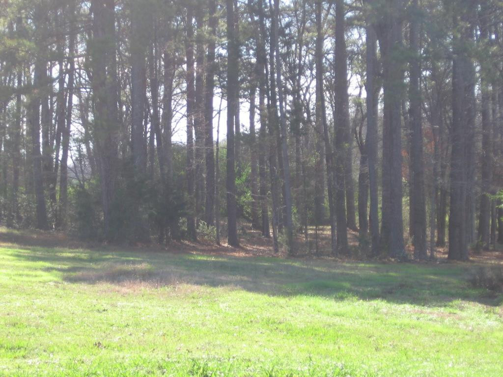 0 Upshaw Road Pickens, MS 39146 - Photo 5 of 11 Photo 5