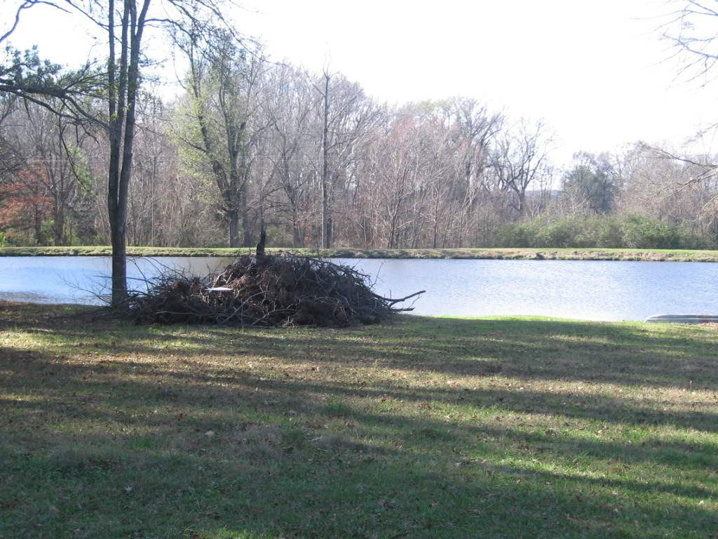 0 Upshaw Road Pickens, MS 39146 - Photo 6 of 11 Photo 6