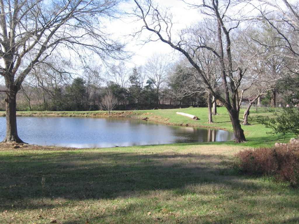 0 Upshaw Road Pickens, MS 39146 - Photo 7 of 11 Photo 7