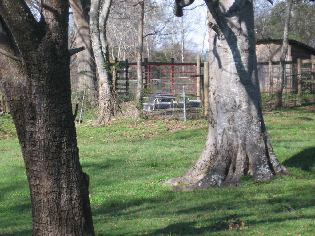 0 Upshaw Road Pickens, MS 39146 - Photo 9 of 11 Photo 9