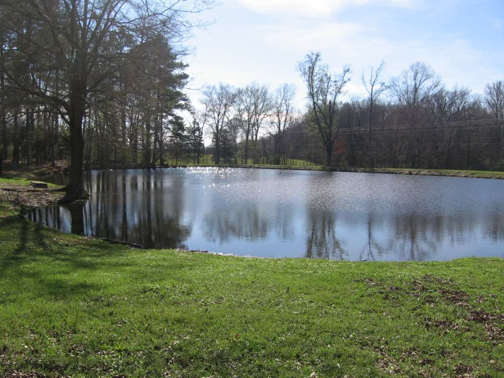 0 Upshaw Road Pickens, MS 39146 - Photo 10 of 11 Photo 10