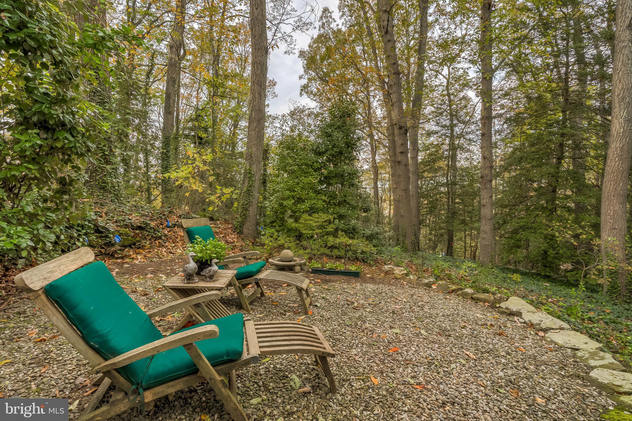 126 Round Bay Road Severna Park, MD 21146 - Photo 53 of 80 Wooded backdrop