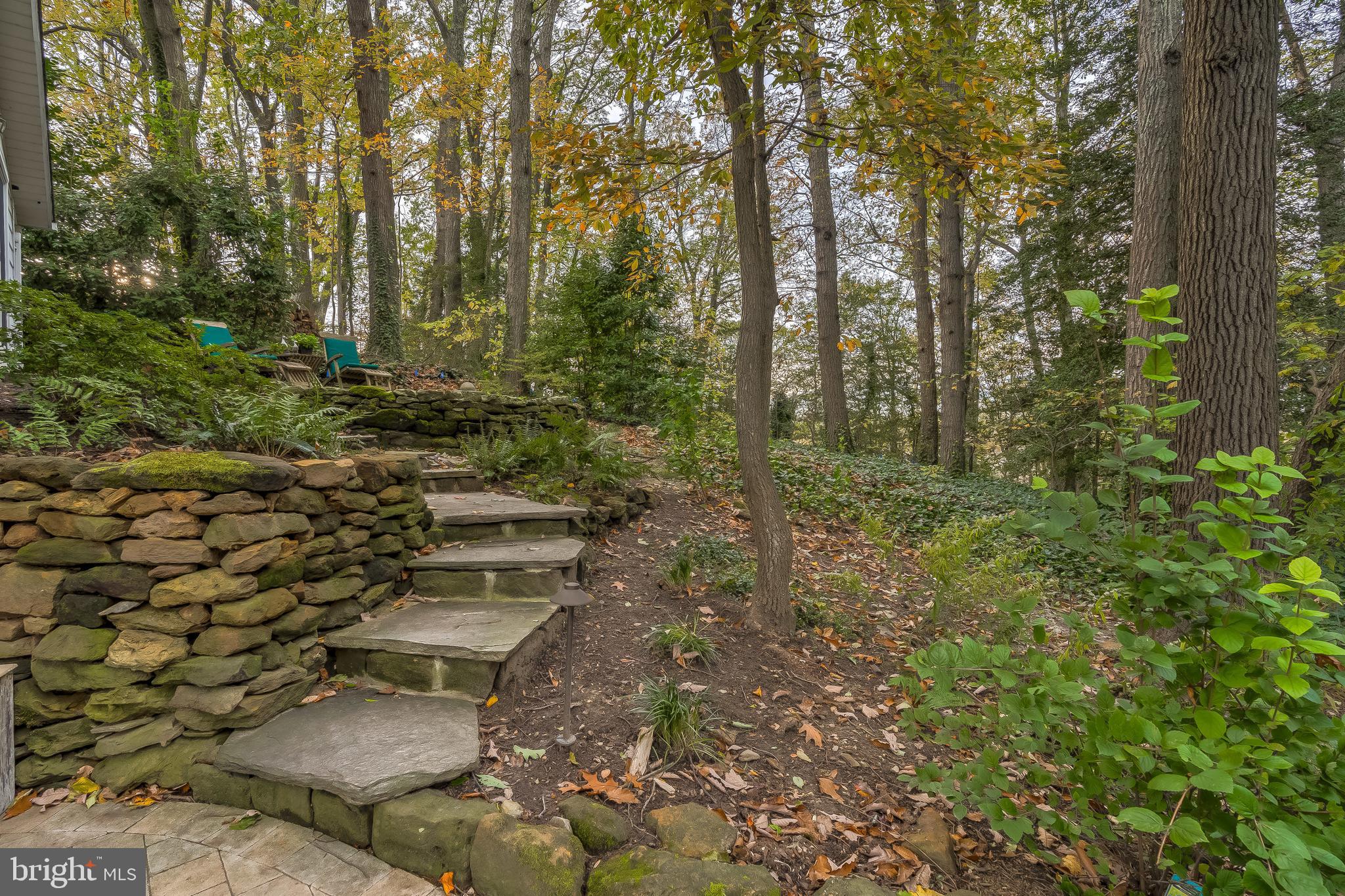 126 Round Bay Road Severna Park, MD 21146 - Photo 56 of 80 Beautiful natural setting
