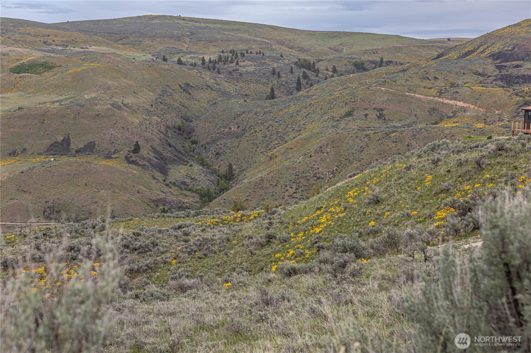 0 Chelan Hills Acres Road Orondo, WA 98843 - Photo 27 of 37 a view of a mountain range with trees