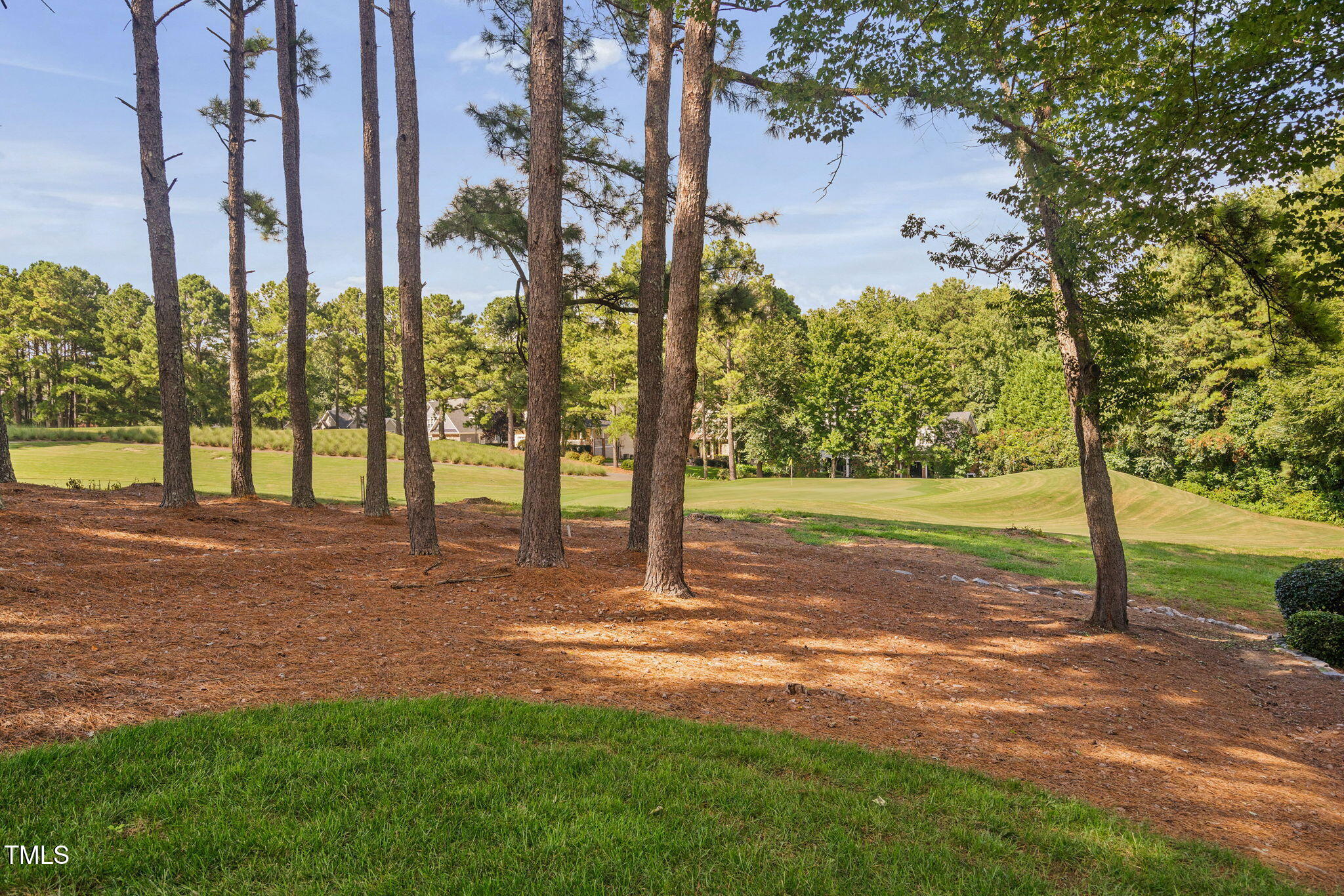 1104 Colonial Club Road Wake Forest, NC 27587 - Photo 45 of 52 30-web-or-mls-1104-colonial-club-rd
