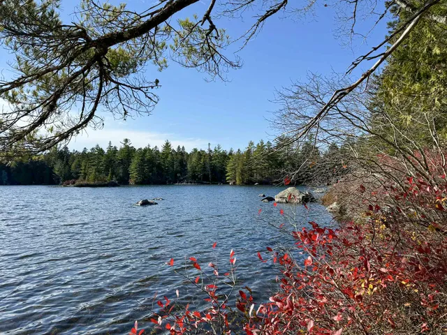$165,000 | Lot 15 Long Lake Road, Northfield, ME 04654