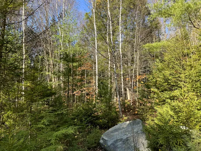 $165,000 | Lot 15 Long Lake Road, Northfield, ME 04654