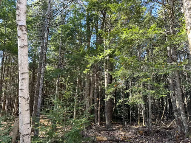 $165,000 | Lot 15 Long Lake Road, Northfield, ME 04654