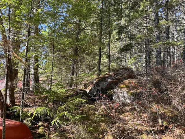 $165,000 | Lot 15 Long Lake Road, Northfield, ME 04654