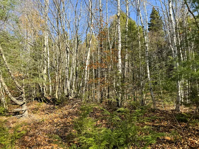 $165,000 | Lot 15 Long Lake Road, Northfield, ME 04654