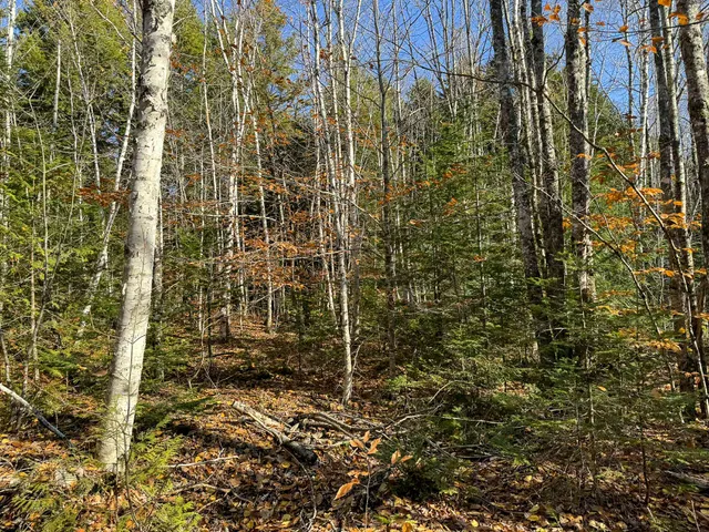 $165,000 | Lot 15 Long Lake Road, Northfield, ME 04654