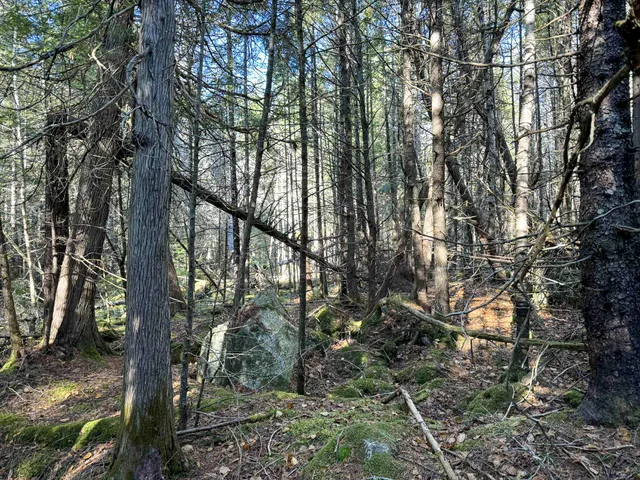 $165,000 | Lot 15 Long Lake Road, Northfield, ME 04654